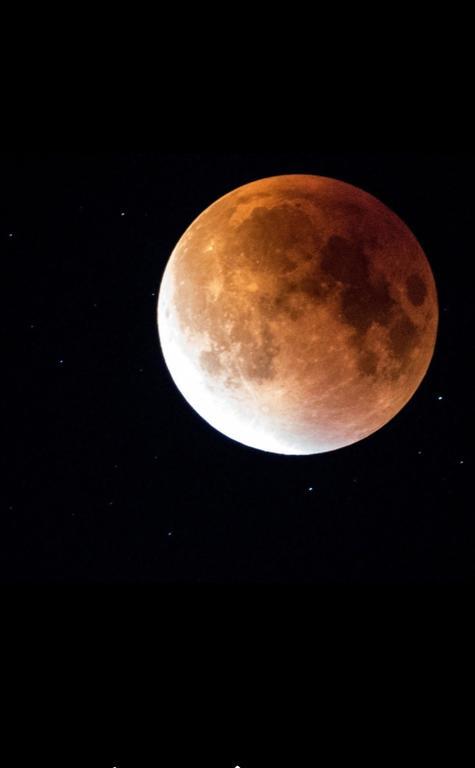 Luna Costinești Εξωτερικό φωτογραφία